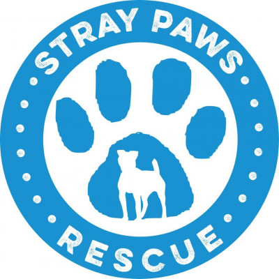 Stray Paws Rescue - Pet Shelter and Rescue in St. Peters, Missouri