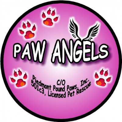 Piedmont Pound Paws, Inc. - Pet Shelter and Rescue in Piedmont, Missouri