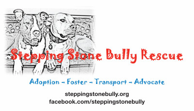 Stepping Stone Bully Rescue - Pet Shelter and Rescue in St. Peters, Missouri