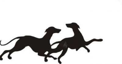 Retired Not Rescued Greyhound Adoption - Pet Shelter and Rescue in Kansas City, Missouri