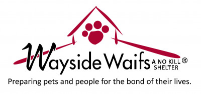 Wayside Waifs Animal Shelter - Pet Shelter and Rescue in Kansas City, Missouri