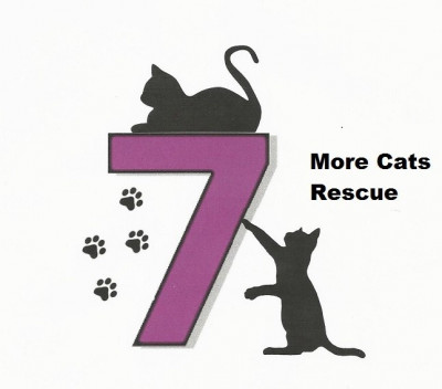 Seven More Cats Rescue - Pet Shelter and Rescue in Saint Charles, Missouri
