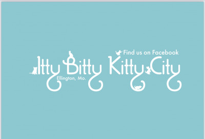 Itty Bitty Kitty City - Pet Shelter and Rescue in Ellington, Missouri