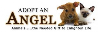 Adopt-An-ANGEL - Pet Shelter and Rescue in Wilmington, North Carolina