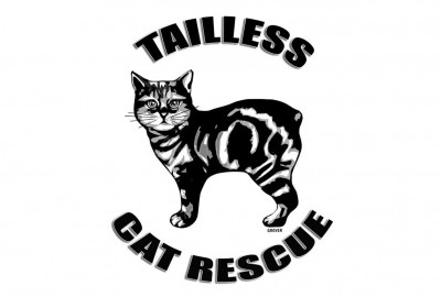 Tailless Cat Rescue - Pet Shelter and Rescue in Liberty, North Carolina