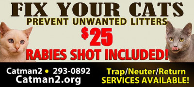 Catman2 Inc. - Pet Shelter and Rescue in Cullowhee, North Carolina