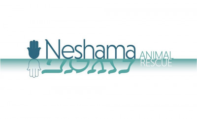 Neshama Animal Rescue - Pet Shelter and Rescue in Raleigh, North Carolina
