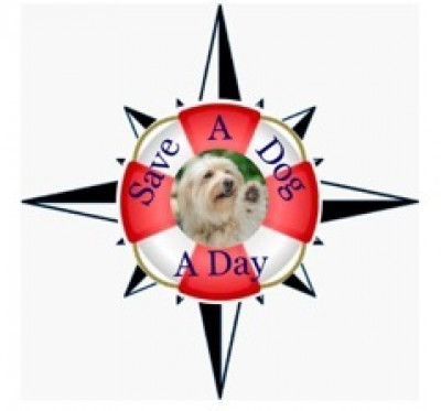 Save A Dog A Day Rescue - Pet Shelter and Rescue in Raleigh, North Carolina