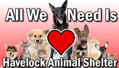 Havelock Animal Shelter - Pet Shelter and Rescue in Havelock, North Carolina