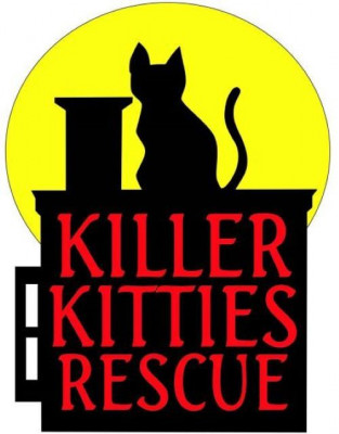 Killer Kitties Rescue - Pet Shelter and Rescue in Oakboro, North Carolina
