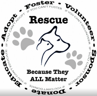 Johnston Co. Animal Protection League - Pet Shelter and Rescue in Smithfield, North Carolina