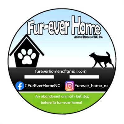 Fur-Ever Home Animal Rescue Of NC, Inc. - Pet Shelter and Rescue in Lumberton, North Carolina