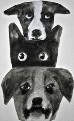 Animals First Rescue Of The Carolinas - Pet Shelter and Rescue in Marvin, North Carolina