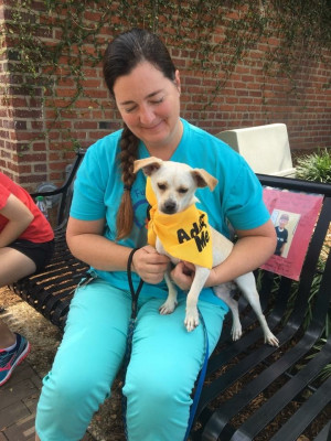 ST Furever Freedom Animal Rescue - Pet Shelter and Rescue in Rural Hall, North Carolina