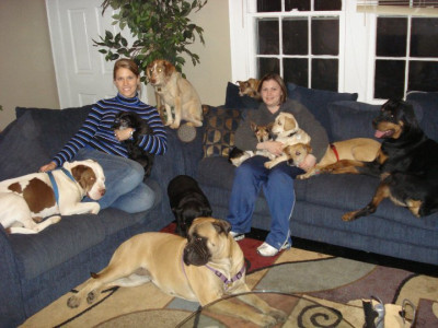 Recycled Paws Inc. - Pet Shelter and Rescue in Lexington, North Carolina