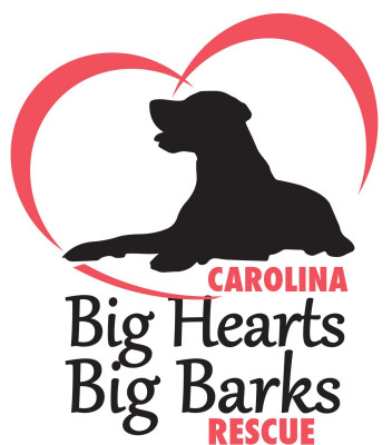 Carolina Big Hearts Big Barks Rescue - Pet Shelter and Rescue in Mooresville, North Carolina