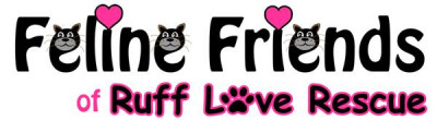 Feline Friends Of Ruff Love Rescue - Pet Shelter and Rescue in Greensboro, North Carolina