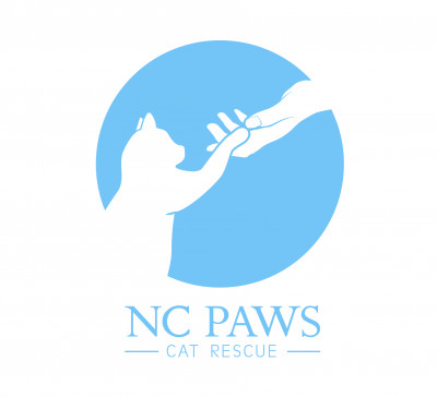 NC P.A.W.S. - Pet Shelter and Rescue in Newton, North Carolina