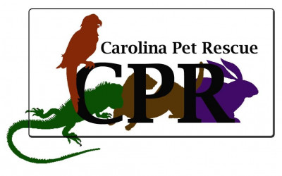 Carolina Pet Rescue - Pet Shelter and Rescue in Durham, North Carolina
