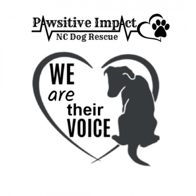 Pawsitive Impact NC Dog Rescue - Pet Shelter and Rescue in Charlotte, North Carolina