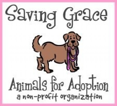 Saving Grace Animals For Adoption - Pet Shelter and Rescue in Wake Forest, North Carolina