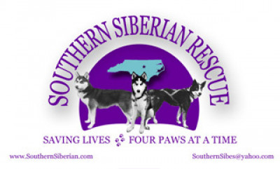 Southern Siberian Rescue - Pet Shelter and Rescue in Raleigh, North Carolina