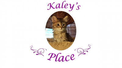 Kaleys Place - Pet Shelter and Rescue in Nevada, Texas