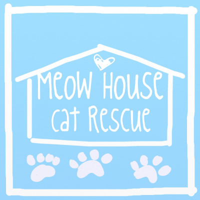 Meow House Cat Rescue - Pet Shelter and Rescue in Raleigh, North Carolina