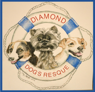 Diamond Dogs Rescue - Pet Shelter and Rescue in Mount Holly, New Jersey