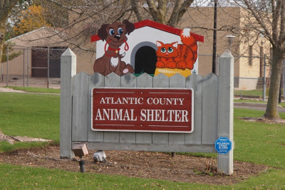Atlantic County Animal Shelter - Pet Shelter and Rescue in Pleasantville, New Jersey