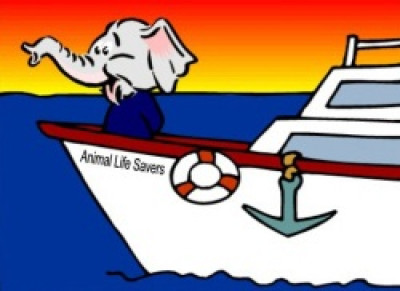 Animal Life Savers Inc. - Pet Shelter and Rescue in Palisades Park, New Jersey