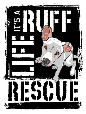 Its A Ruff Life Rescue - Pet Shelter and Rescue in Hamilton Township, New Jersey