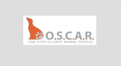 One Step Closer Animal Rescue (O.S.C.A.R.) - Pet Shelter and Rescue in Sparta, New Jersey