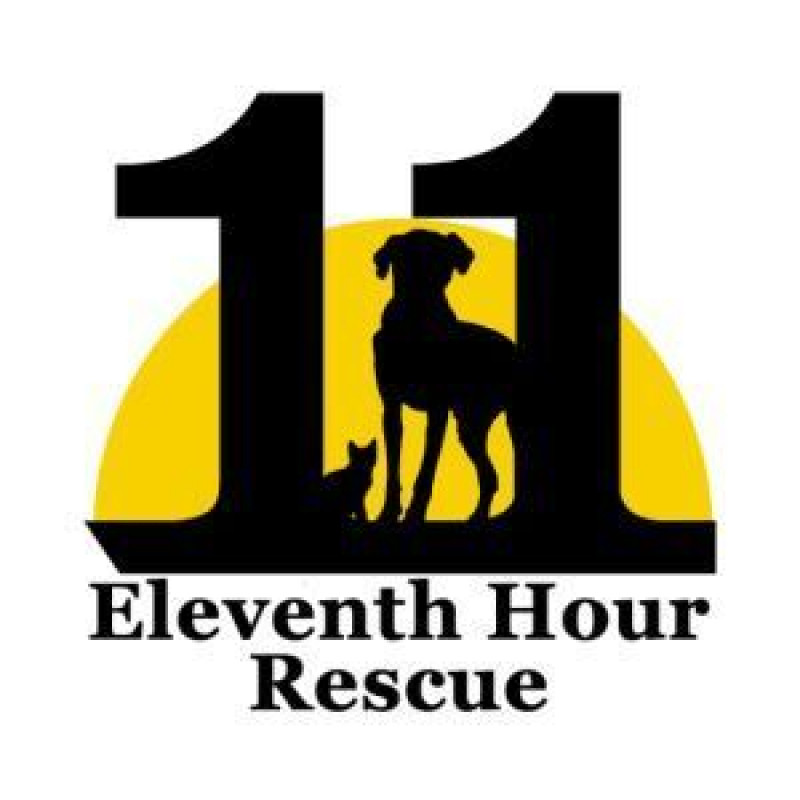 11th Hour Rescue Eleventh Hour Rescue - Pet Shelter and Rescue in Rockaway, New Jersey ...