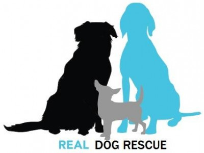 Real Dog Rescue, Inc. - Pet Shelter and Rescue in Mahwah, New Jersey