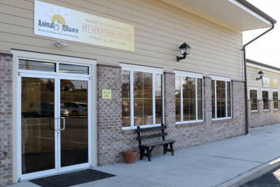 Animal Alliance - Pet Shelter and Rescue in Lambertville, New Jersey