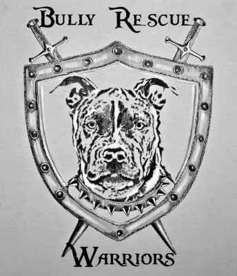 Bully Rescue Warriors - Pet Shelter and Rescue in Hamburg, New Jersey