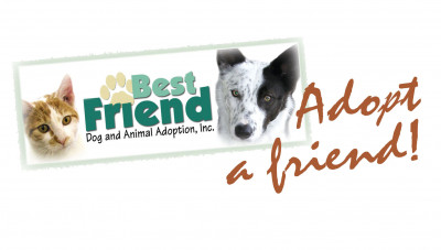 Best Friend Dog And Animal Adoption, Inc. - Pet Shelter and Rescue in Cranford, New Jersey