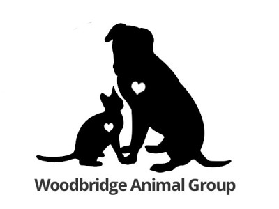Woodbridge Animal Shelter - Pet Shelter and Rescue