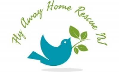 Fly Away Home Inc. - Pet Shelter and Rescue in Palisades Park, New Jersey