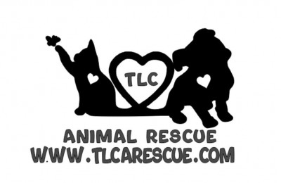 TLC Animal Rescue - Pet Shelter and Rescue in Middle Township, New Jersey