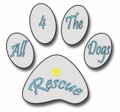 All 4 The Dogs Rescue - Pet Shelter and Rescue in Hamilton Township, New Jersey