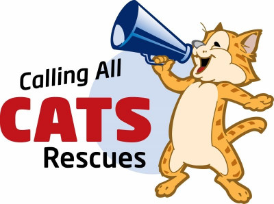 Calling All Cats Rescues - Pet Shelter and Rescue in Toms River, New Jersey