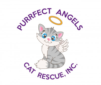 Purrfect Angels Cat Rescue - Pet Shelter and Rescue in Washington Township, New Jersey