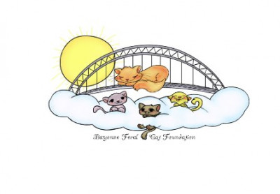 Bayonne Feral Cat Foundation - Pet Shelter and Rescue in Bayonne, New Jersey