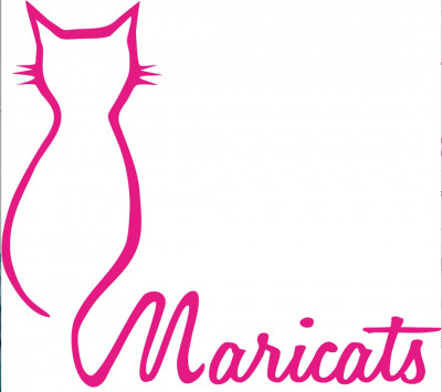 Maricats Rescue/Paw Pals Of Haltom City - Pet Shelter and Rescue in Fort Worth, Texas