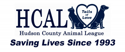 Hudson County Animal League (HCAL) - Pet Shelter and Rescue in Jersey City, New Jersey
