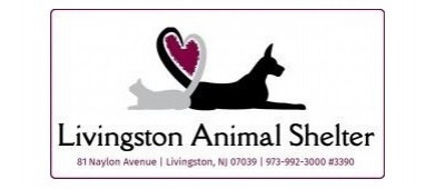 Livingston, NJ Animal Shelter - Pet Shelter and Rescue in Livingston, New Jersey