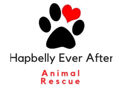 Hapbelly Ever After Animal Rescue - Pet Shelter and Rescue in Jackson Township, New Jersey