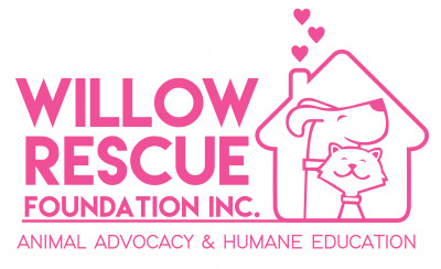Willow Rescue Foundation Inc. - Pet Shelter and Rescue in Garwood, New Jersey